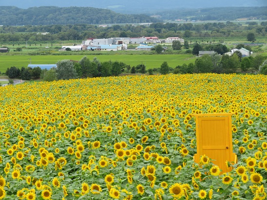 花日記｜北海道立サンピラーパーク（北海道名寄市）